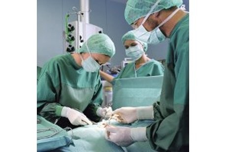 Dokter Afrika Selatan Sukses Lakukan Transplantasi Mr P Pertama di Dunia