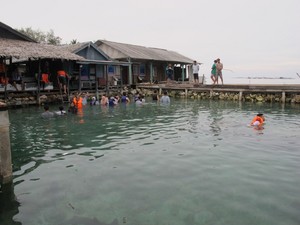 Stop Berenang Bareng Hiu Karimunjawa, Nikmati Saja di Pinggir Kolam