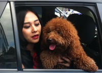 Pelantun 'Mari Bercinta' itu mengaku sudah lama mengasuh Brownie.