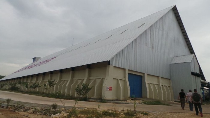 Ini Usulan Petani Tebu Agar RI Swasembada Gula