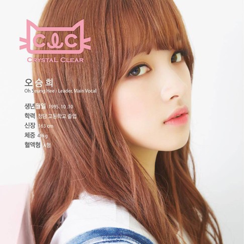 Kenalan dengan Member CLC, Girlband Baru Cube Entertainment