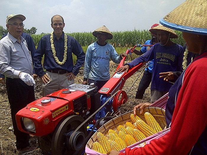 Belum Terapkan Bioteknologi, Produksi Jagung Indonesia Kalah dari Filipina