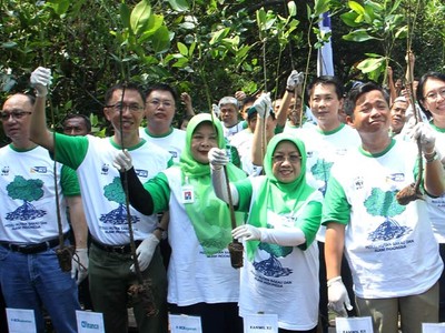Penanaman Mangrove di Pantai Indah Kapuk
