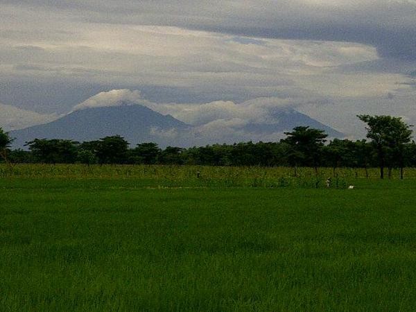 Mengenal 4 Kota Penghasil Jamu  Sehat Halaman 2