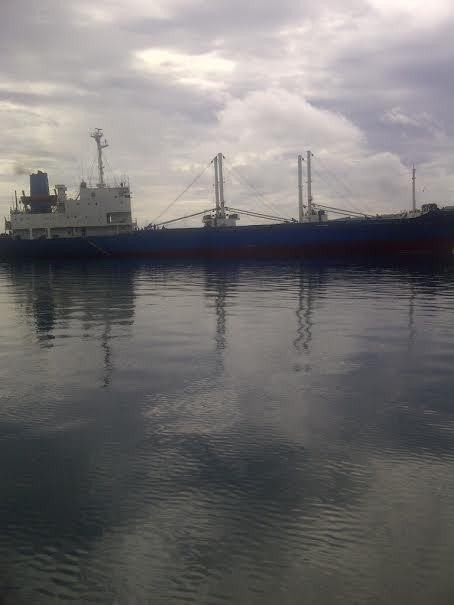 MV Hai Fa Hanya Didenda Rp 200 Juta, Satgas Anti Mafia: Harusnya Ditenggelamkan