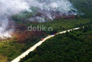 Hutan Indonesia Disoroti Dunia, Kemen LH dan Kehutanan akan Lanjutkan Moratorium