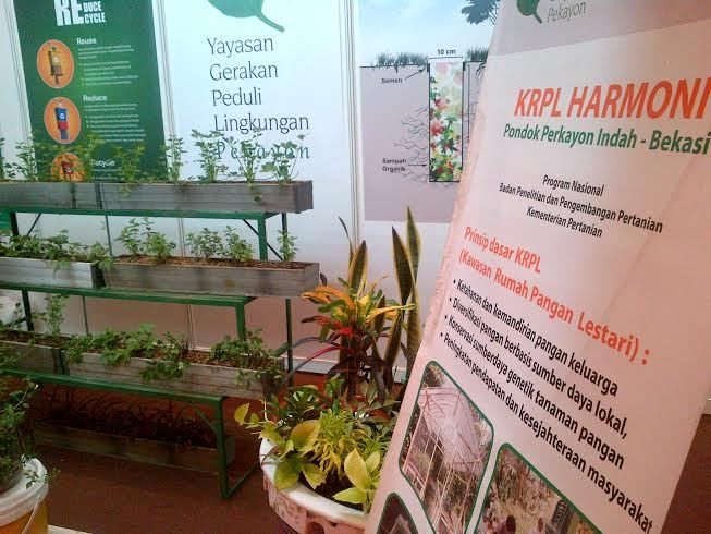 Warga Bekasi Ini Kompak Ubah Halaman Jadi Lahan Pertanian