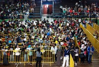 Para Directioners, sapaan penggemar boyband tersebut mengantre tiket di Hall A Basket Gelora Bung Karno, Senayan, Jakarta.