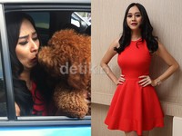 Aura Kasih dicium Brownie, anjing kesayangannya. Asep Syaifullah/detikHOT.