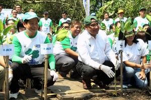 Peduli Lingkungan dengan Tanam Pohon Mangrove