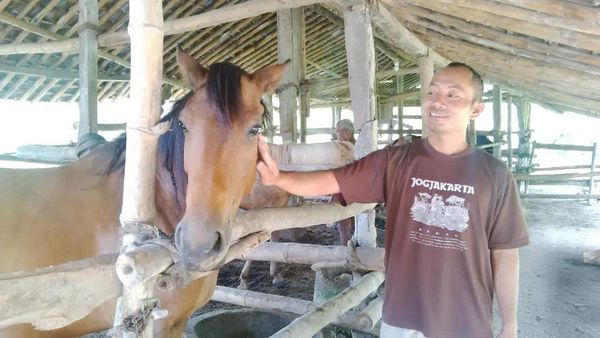 Cara Tradisional Para Kusir Merawat Kuda Andong: Telur 