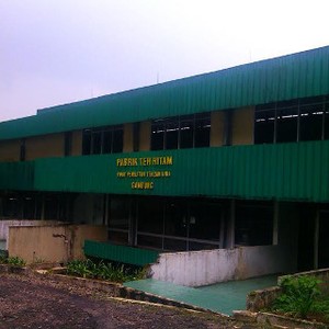 Ini Kebun Gambung Ciwidey, Pusat Penelitian Teh Terbesar di Asia Tenggara