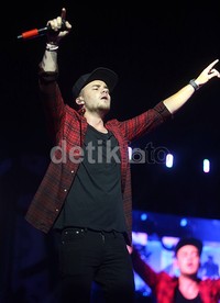     Ia kerap berinteraksi dengan Directioner yang hadir.