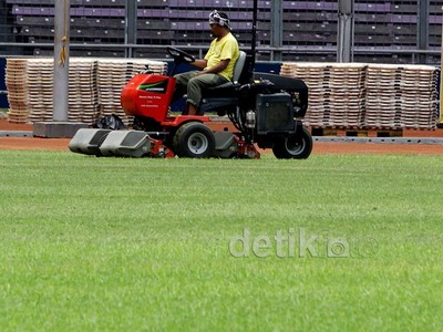 Begini Kondisi Rumput GBK Usai Konser One Direction