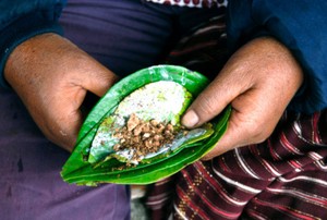 Kebiasaan Menginang Memang Bisa Kuatkan Gigi Tapi Merusak Gusi