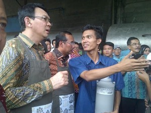 Beri Nama Calon Anak Sapi USB, Ahok: Unit Sapi Betawi