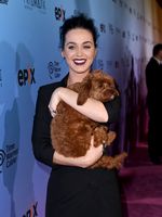 So Cute! Katy Perry Peluk-peluk Butters