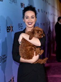 Katy Perry dan maskot konsernya, Butters. Kevin Winter/Getty Images/detikFoto.