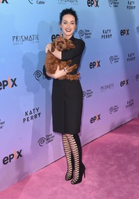 Di acara tersebut, Katy Perry terbukti tak hanya menyukai kucing tetapi juga anjing. Jason Merritt/Getty Images/detikFoto.