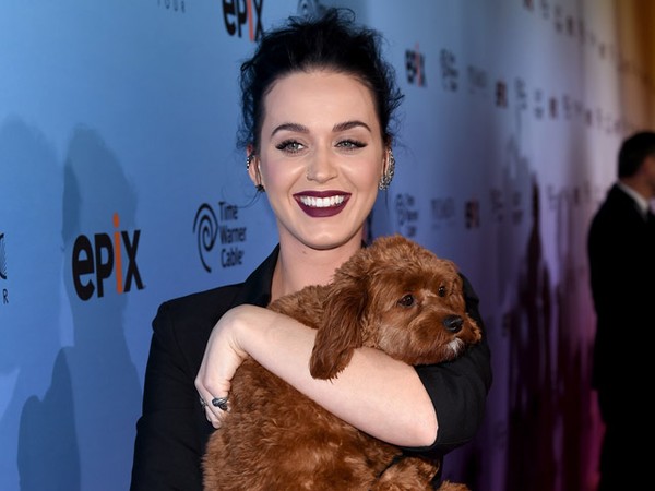 So Cute! Katy Perry Peluk-peluk Butters