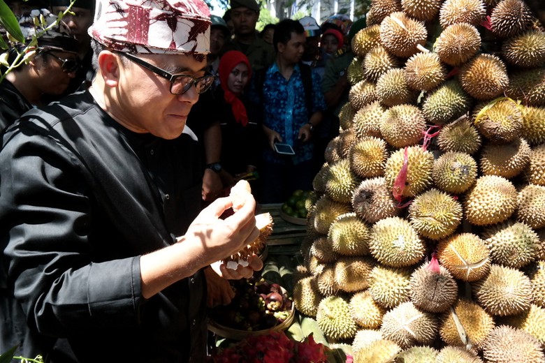 Download 42 Gambar Durian Untuk Diwarnai Paling Bagus Gratis