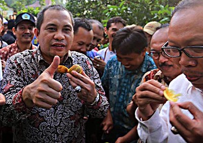 Mendes Marwan Jafar Petik Jeruk Hasil Pertanian
