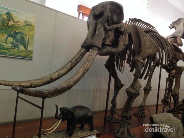 Wisata Sambil Belajar di  Museum  Geologi  Bandung