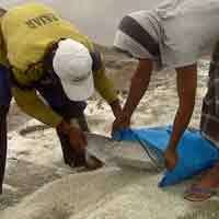 Pemerintah Targetkan RI Swasembada Garam di 2015