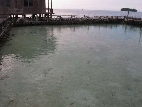 Catat! 4 Spot Snorkeling Favorit di Karimunjawa