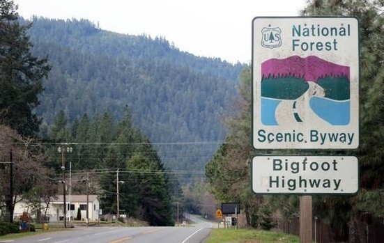 Misteri Monster Bigfoot di Amerika