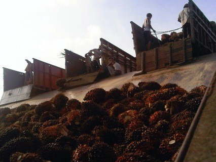 Rugi Bakrie Sumatera Plantation Berkurang 78% Jadi Rp 653 Miliar