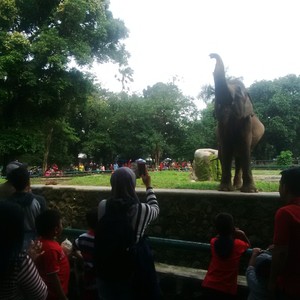 Serunya Ajari Anak Tentang Kehidupan Satwa Sambil Liburan