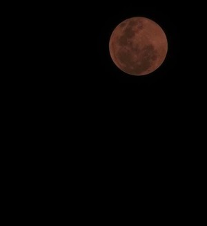Ini Penampakan Indahnya Blood Moon di Langit Jakarta