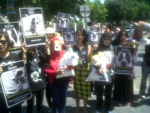 Pecinta Hewan di Jogja Demo Tolak Tongseng Asu