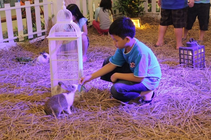 Libur Paskah, Main Bareng Kelinci Lucu di Trans Studio Makassar