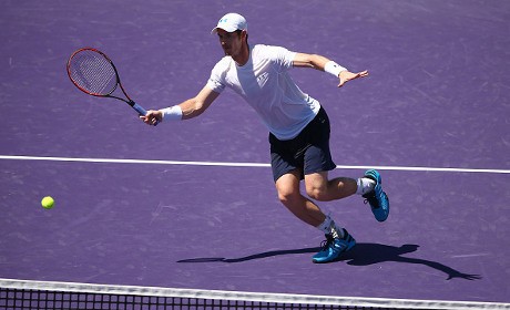 Murray Hadapi Djokovic di Final