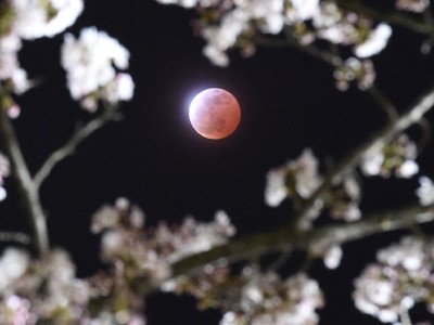Gerhana Bulan Total di Berbagai Negara