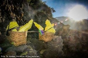 Pesona Kawah Ijen, Dari Penambang Belerang Hingga Api Biru