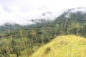 Mengejar Lautan Awan di Gunung Kuta Malaka, Aceh