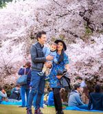 Sweet... Christian Sugiono Kecup Titi Kamal di Bawah Pohon Sakura