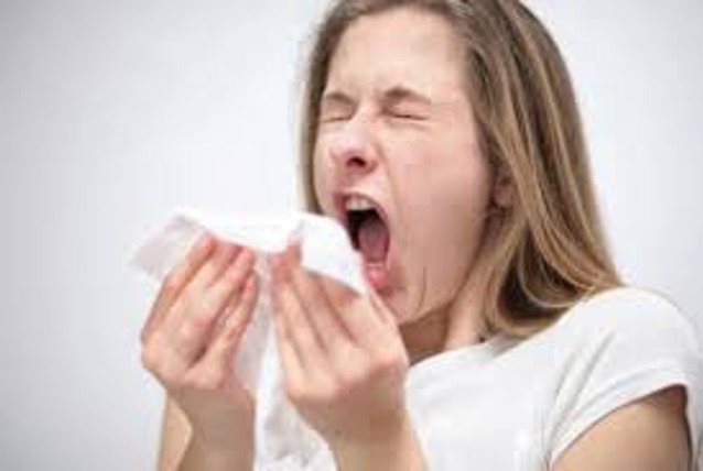 Sedang Terserang Flu? Perbanyak Konsumsi Makanan Enak dan Sehat Ini (1)