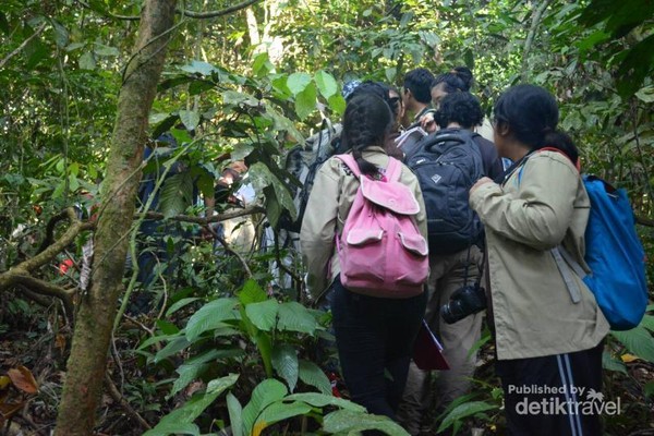 Taman Nasional Gunung Leuser