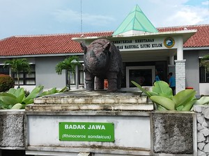 Cari Info Badak Jawa, ke Balai Taman Nasional Ujung Kulon Saja!