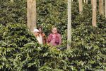 Berkunjung ke Kedai 'Filosopi Kopi'