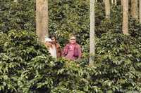 Seluruh tim 'Filosofi Kopi' melakukan riset besar-besaran agar tidak mengecewakan para penonton dan penikmat kopi. (Visinema Pictures)