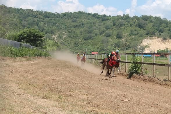 Uniknya Lomba Pacu Kuda di NTB, Jokinya Anak Kecil