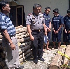 Bangun Dua Rumah dari Kayu Curian, Komplotan ini Dibekuk Polisi