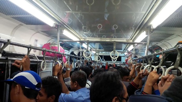 Commuter Line Tujuan Bogor Masih Tertahan Akibat Pohon Tumbang di UI