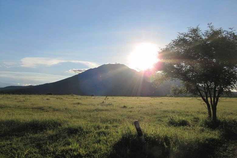 Touring Motor Ke Afrika Bukan Ini Di Taman Nasional Baluran