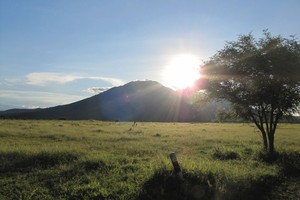 Touring Motor ke Afrika? Bukan, Ini di Taman Nasional Baluran